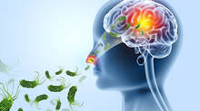 amoebic-meningoencephalit