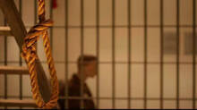 hanging-