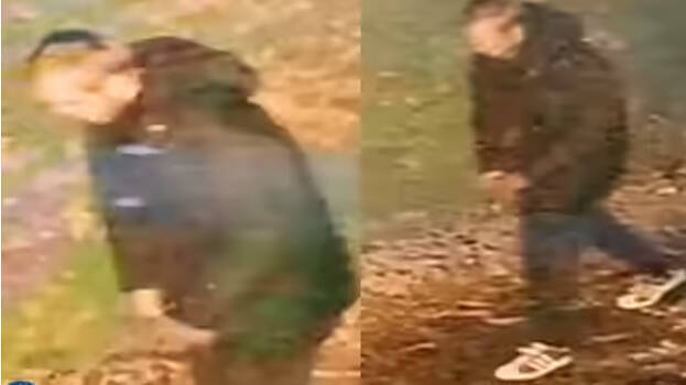 indian-origin-woman-sexua indian-origin-woman-sexua