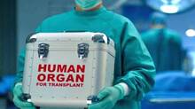 organ-donation