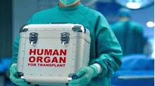 organ-transplant