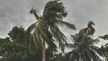 rain