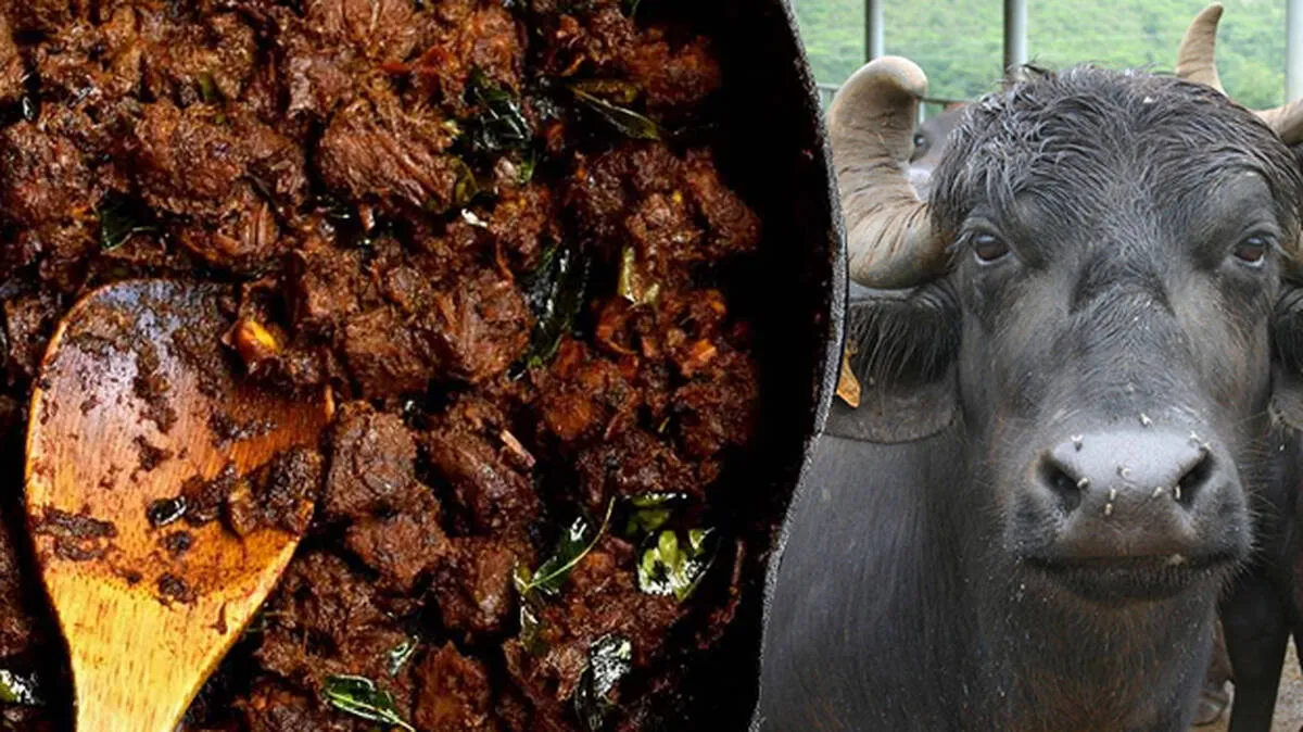 beef beef