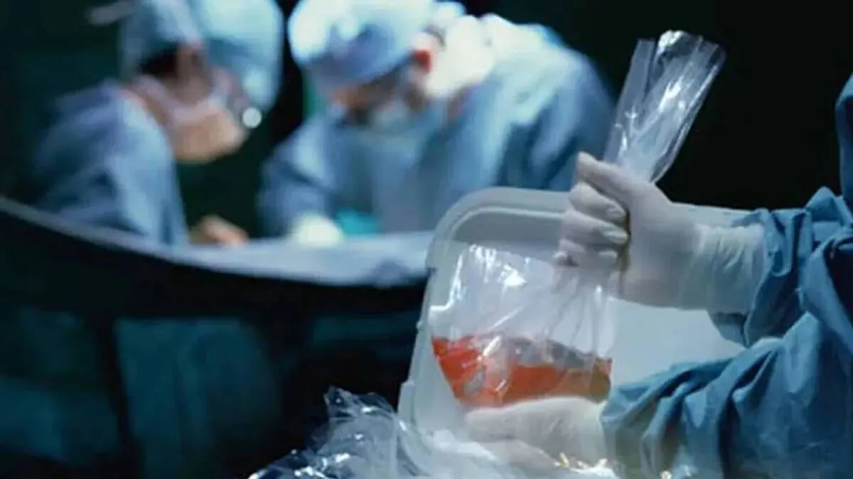 organ-trafficking organ-trafficking
