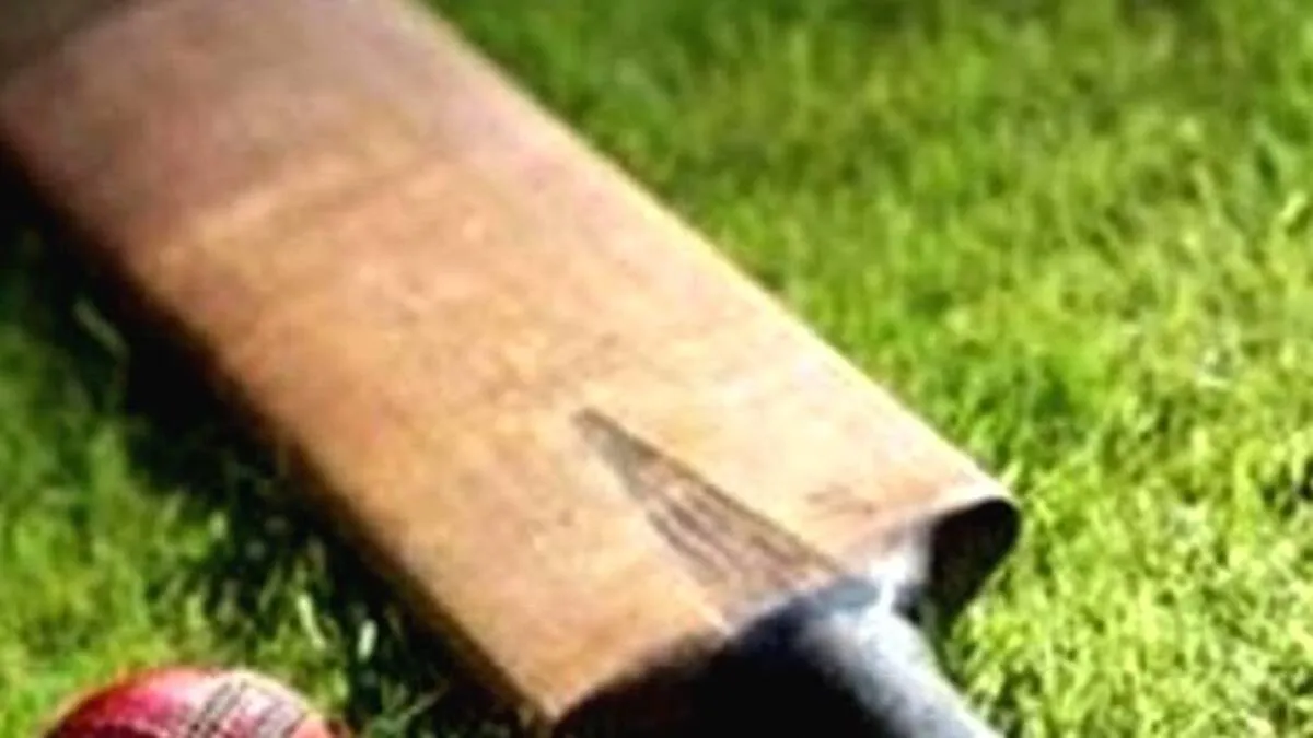 cricket