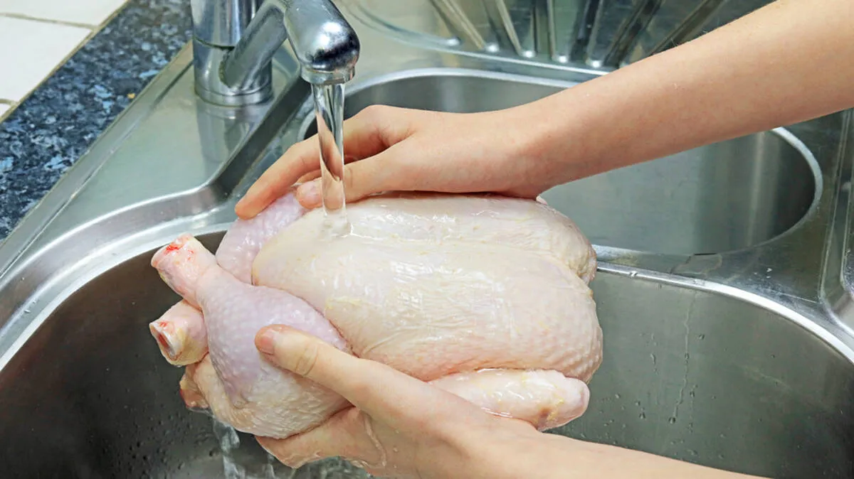 chicken