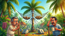 coconut-tree