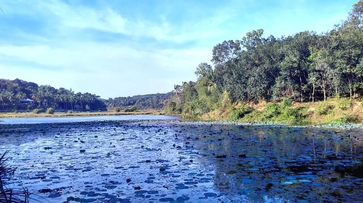 rivers-