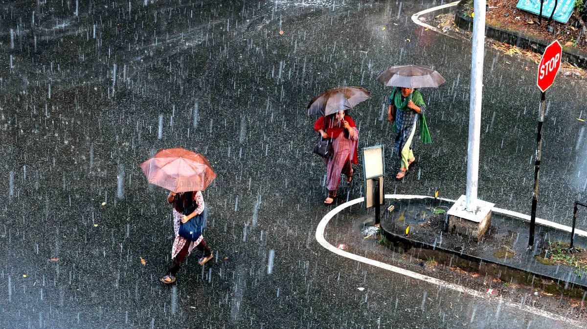imd-rains-