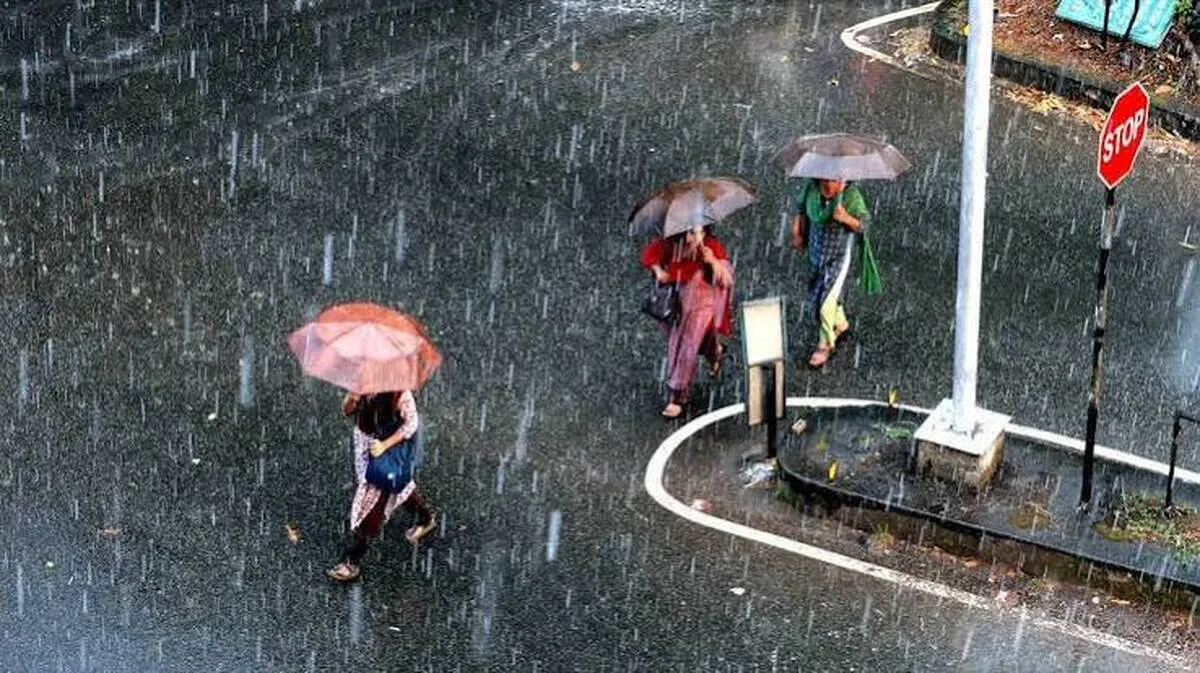 rain