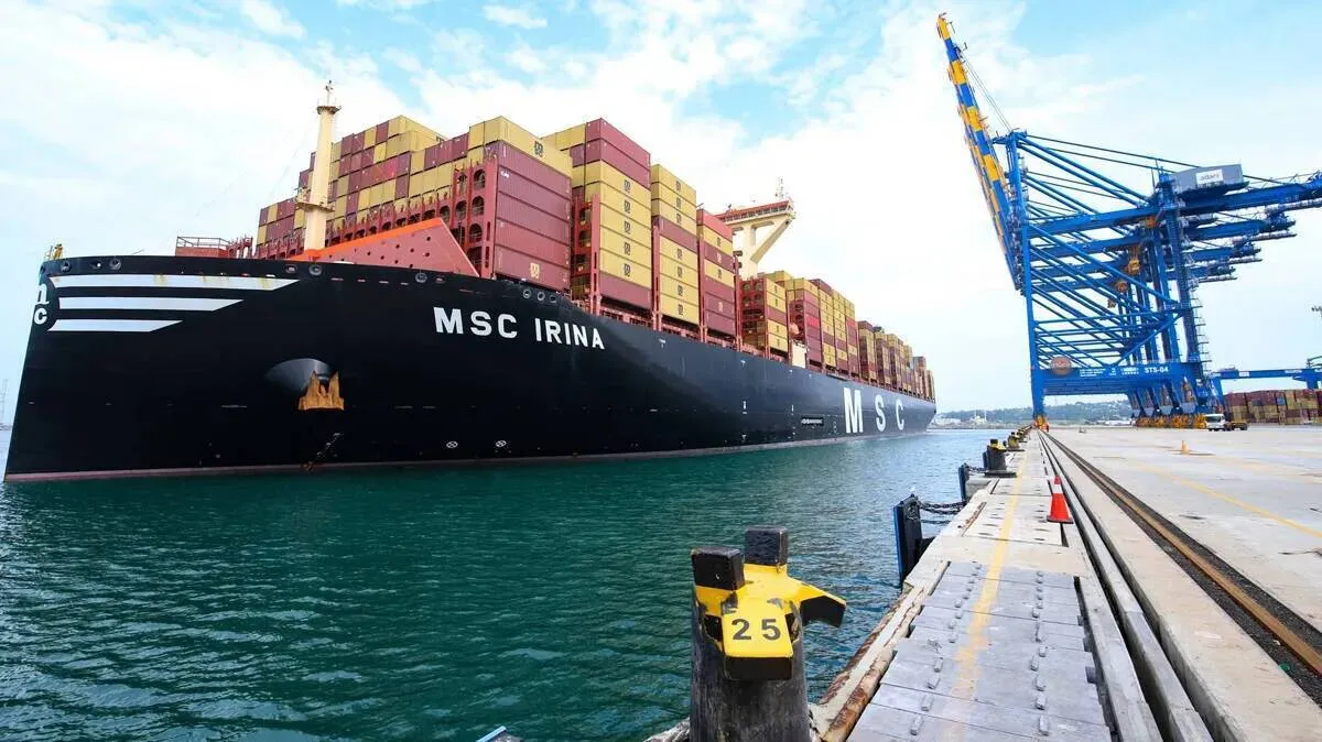 msc