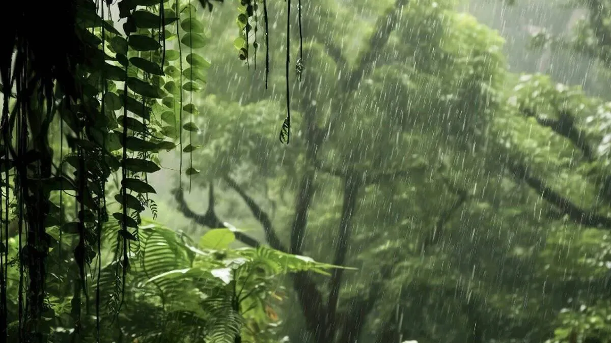 rain