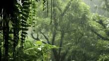 rain