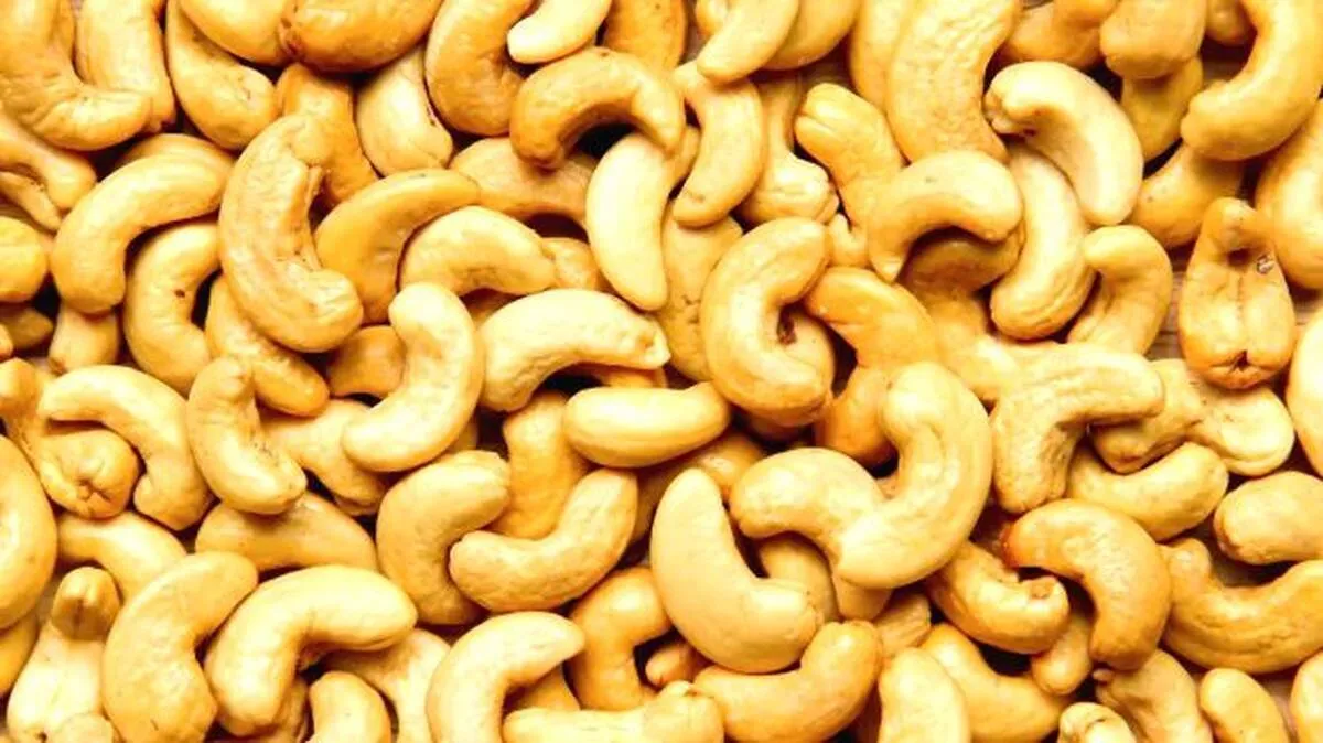 cashew-nut