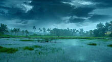 kerala-rain