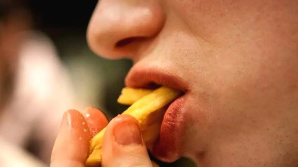 french-fries- french-fries-