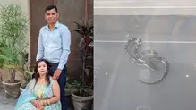 atul-pawar-damini