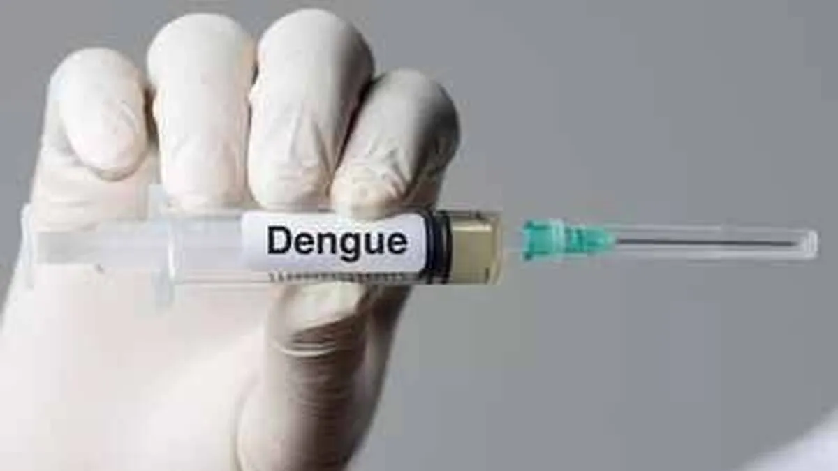 dengue- dengue-