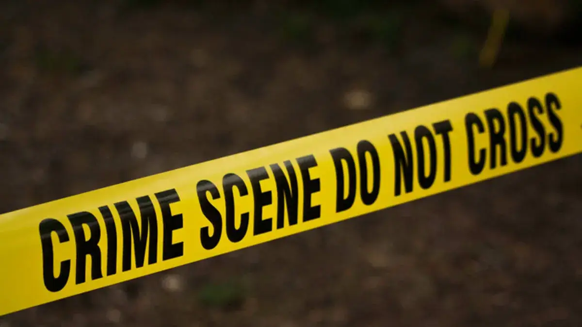 murder murder