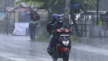 rain