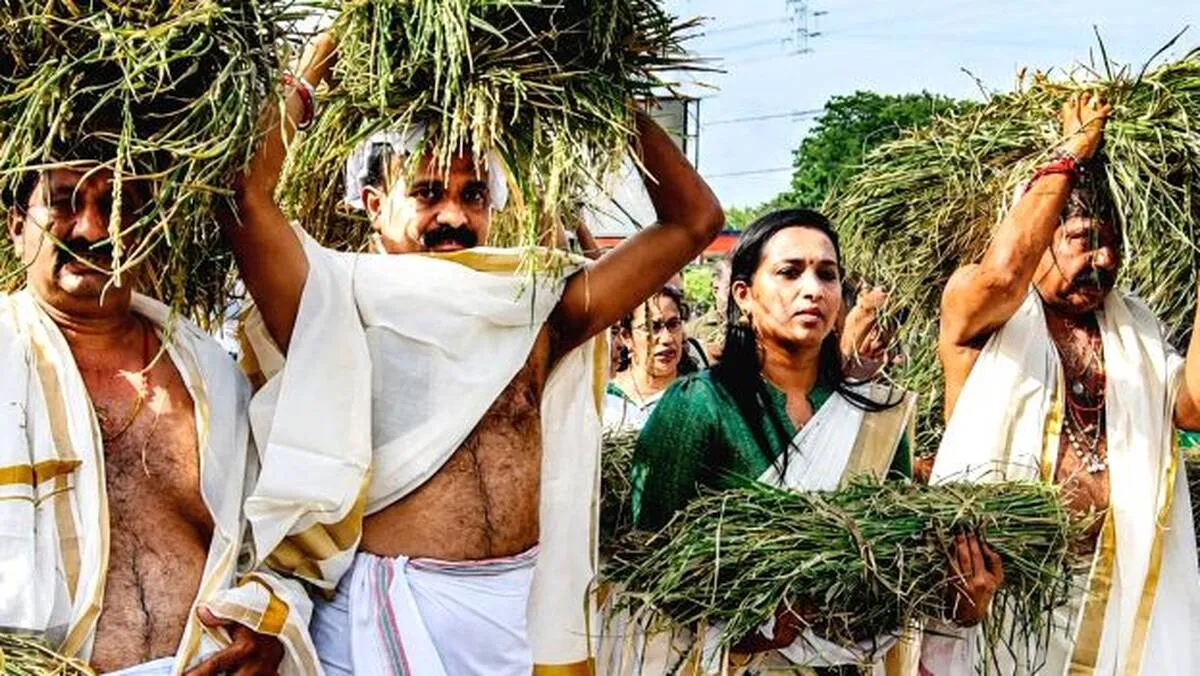 niraputhiri-harvest-