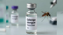 qdenga-