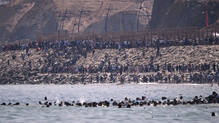 migrants-
