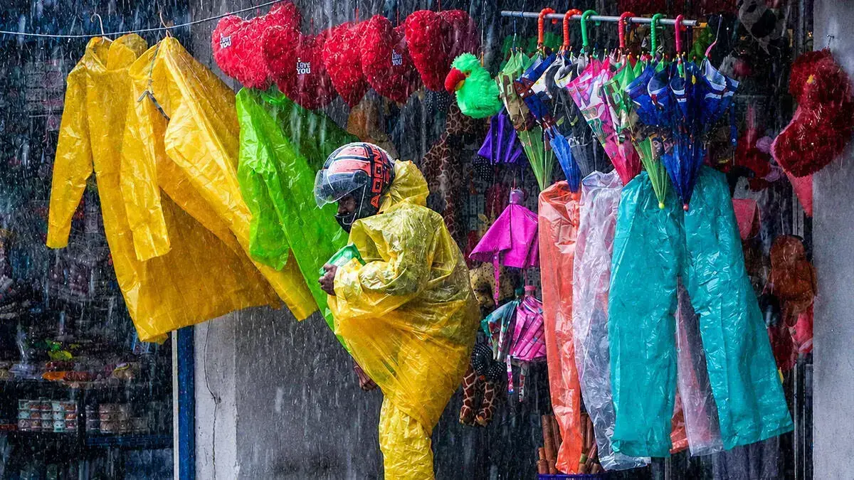 rain