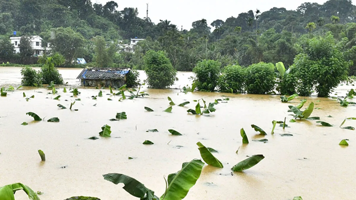 flash-flood flash-flood