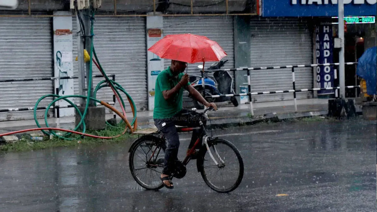 rains rains