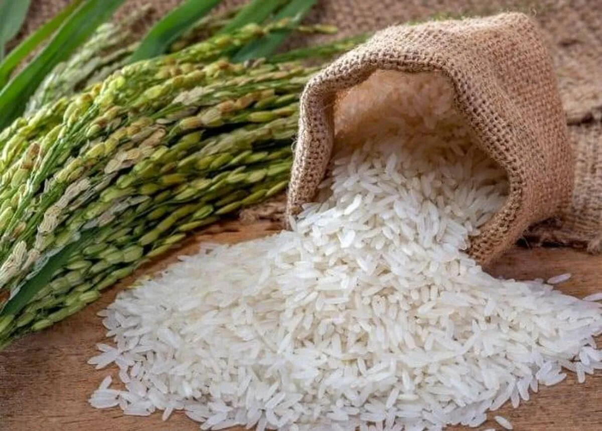 rice rice
