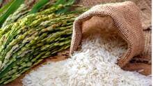 rice