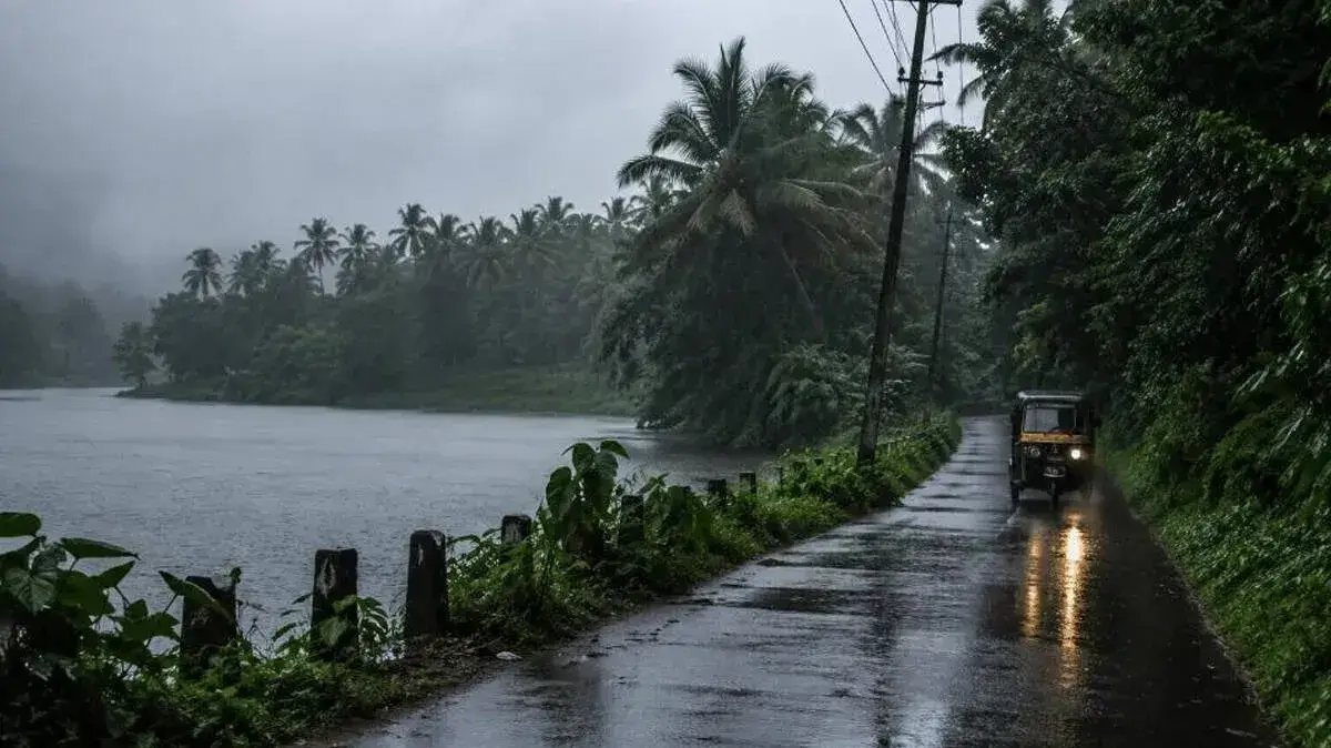 rain