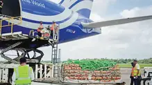 cargo-flight