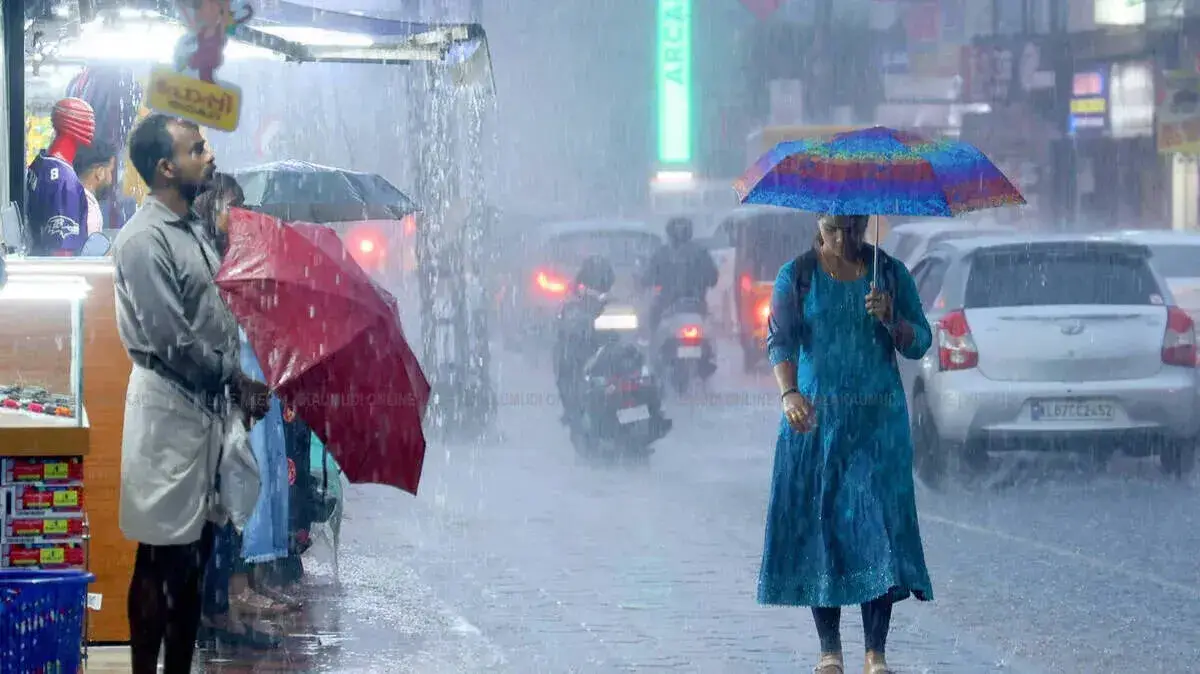 rain-