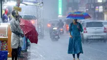 rain-