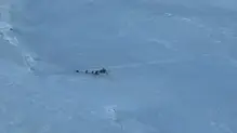 indian-army