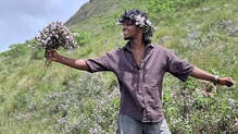 neelakurinji-