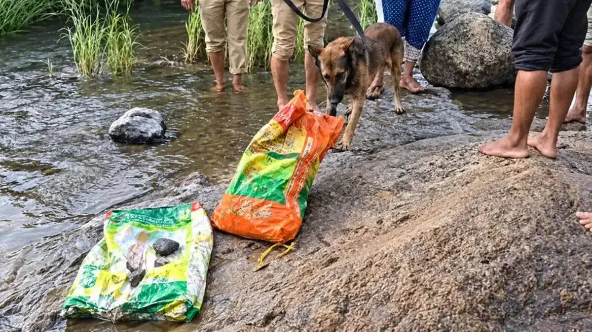 sacks