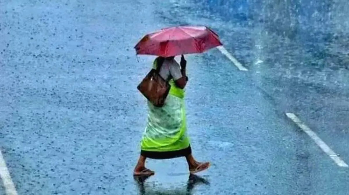rainfall