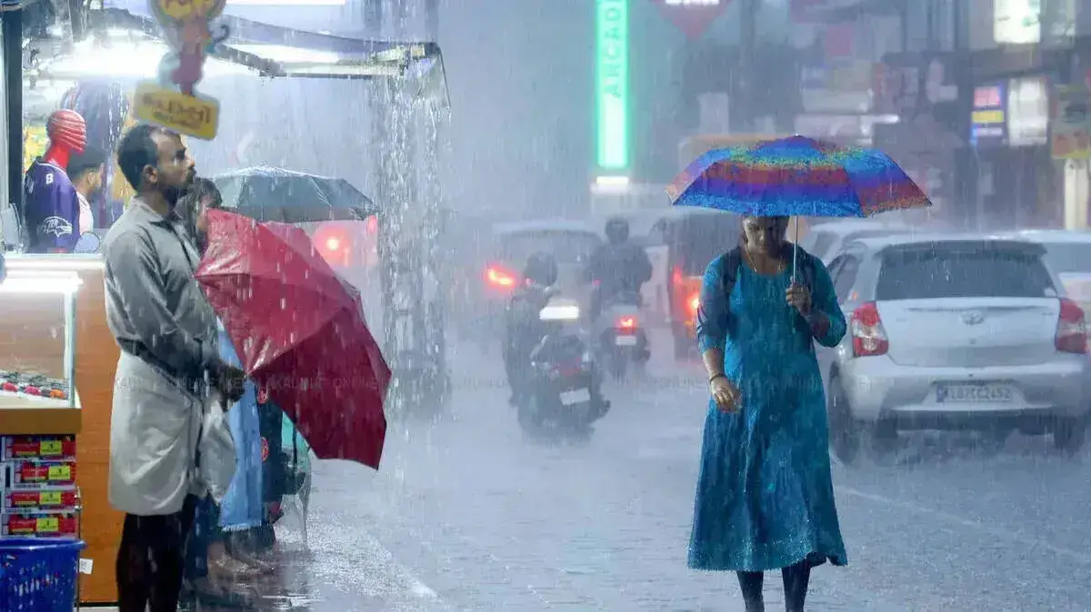 rain