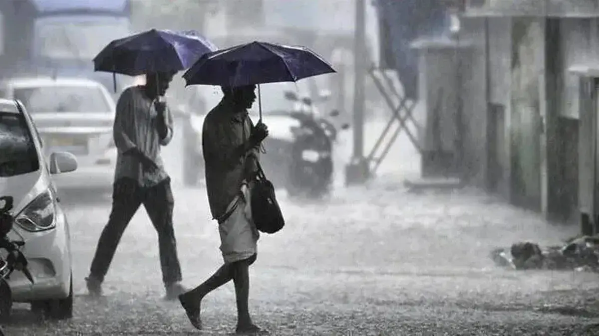 rain