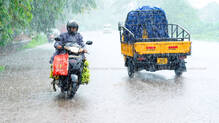 rain
