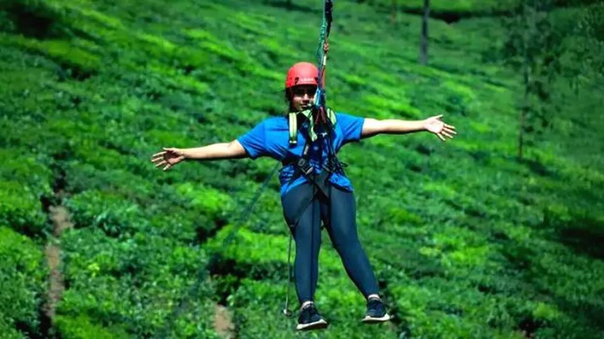 zipline