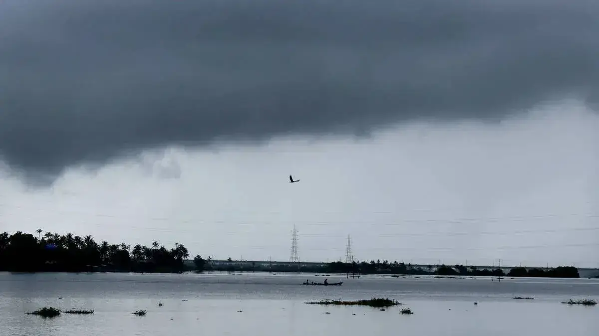 rain