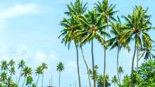 kerala