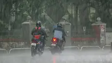 rain