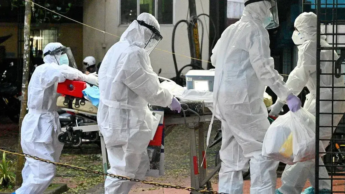 nipah-